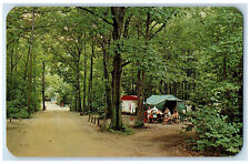 c1960's Tents Warren Dunes State Park Sawyer Michigan MI Unposted Postcard picture
