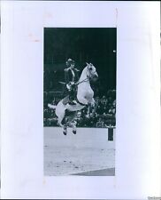 Vintage Precision Royal Lipizzan Stallion Show Equestrians Animals 8X10 Photo picture