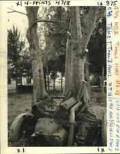 1981 Press Photo A tree grows in a parked car on West Esplanade Avenue, Metairie picture