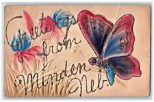 Minden Nebraska NE Postcard Greetings Airbrushed Butterflies Flowers Glitter picture