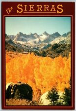 Snowy Sierra Mountains, Golden Aspen Trees, CA - Postcard picture
