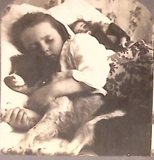 1905 YOUNG GIRL SLEEPING WITH DOG AND DOLL PLAYMATES VERY CUTE STEREOVIEW Z1553 picture