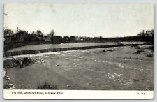 Delaware Ohio~Olentangy River Dam~Homes on Bank~Retaining Wall~1910 CU Williams picture