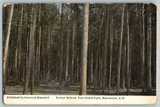 Manchester, NH - Lover's Retreat, Pine Island Park - Vintage Postcard - Unposted picture
