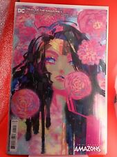 2022 DC Comics Trial of the Amazons 1 Rose Besch Cover B Variant  picture
