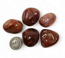 Fire Vein Agate Polished Pieces Brazil 74.3 grams. picture