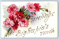 Big Rapids Michigan MI Postcard Greetings Flower Glitter c1910 Vintage Antique picture