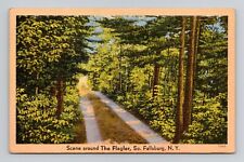Postcard The Flagler South Fallsburg New York NY, Vintage Linen E16 picture
