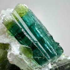 Fabulous Bi Color Tourmaline Crystals On Matrix. AFG 134 CT. picture