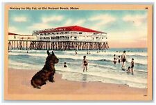 c1940's Waiting For My Pal Dog Bathing Casino Old Orchard Bach Maine ME Postcard picture