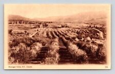 Okanagan Valley B.C Canada - Sepia Tone Gov't Stamped Postcard picture