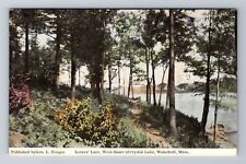 Wakefield, MA-Massachusetts, Crystal Lake Lover's Lane Antique, Vintage Postcard picture