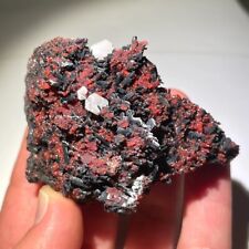 Rare 2.7” Black Gaudefroyite, Red Andradite Garnet & Barite - South Africa picture