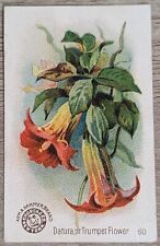 1895 AH800 Church & Co Arm & Hammer Beautiful Flowers Datura Trade Card #60 picture
