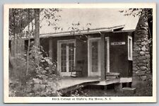 Birch Cottage at Higby's. Big Moose New York Vintage Postcard picture