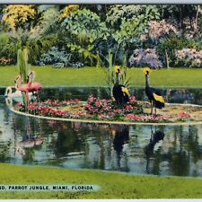 c1940s Miami Fla Parrot Jungle Flamingo Pond Birds Zoo Colorful Postcard FL A220 picture