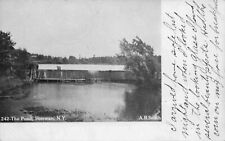 A View Of The Pond, Sherman, New York NY 1907 picture