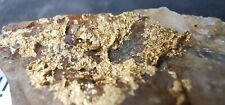 Gold Ore Specimen 25.1g Displays Crystalline Gold Nicely 3610 From Ontario picture