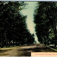 c1910s Prairie Du Chien, Wis. Minnesota Street Litho Photo Postcard St View A63 picture