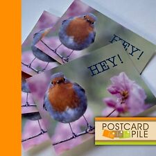 Hey Songbird On Flowering Branch, Set Of 5 Postcards unused Postcard Lot New picture