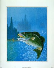 (11 x 14) Art Print AN1252 Tony Dumaw Fishing picture
