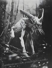 Hodag 1899 Photograph Wisconsin Swamp Creature Cryptid Mythology Folklore 8.5X11 picture