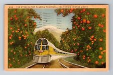 Streamliner Passing Through California Orange Grove, Vintage c1941 Postcard picture