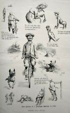 1900 Antique Bicycle Cartoon Art Edward Kemble Magazine Print picture