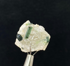 23ct Natural Green Tourmaline Crystal Specimen From Afghanistan picture