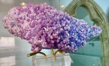 A Stunning Large Amethyst Grape-Agate Grape from Indonesia-stand-Collectors-771g picture