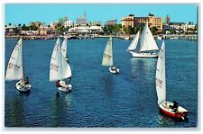 c1960's Sailboats Maneuver Against  Colorful Skyline St. Petersburg FL Postcard picture