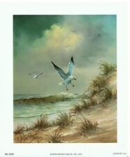 (5 x 6) Art Print SC1370 Nina Barnes Seagulls On the Beach by the Ocean picture