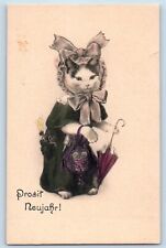 Anthropomorphic Postcard Cat With Umbrella And Purse c1910's Unposted Antique picture