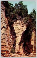 Ausable Chasm Science Wonder New York Rock Formation Elephants Head VNG Postcard picture