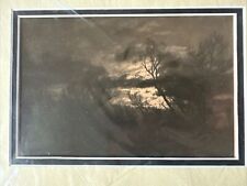Vintage Photograph By Maurice Bejach : Light Through The Trees Near Taft Ca 1930 picture