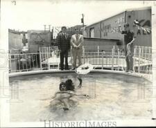 1974 Press Photo Participants demo pool safety at New Orleans Home & Garden Show picture
