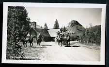 1950's Sun Valley Idaho Trail Creek Cabin Horses Stagecoach Vintage Photo picture