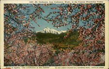 Mt Cashmere Washington flower trees ~ 1940s linen postcard picture