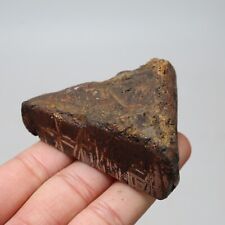 157g  Muonionalusta meteorite part slice C7194 picture