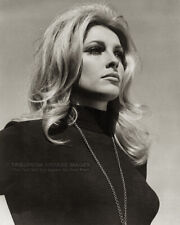 1967 Actress Sharon Tate Publicity Photo for 