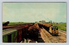 Clewiston FL-Florida, Railway Sugar House Yard, Antique Vintage Postcard picture