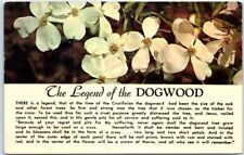 Postcard - The Legend of the Dogwood picture