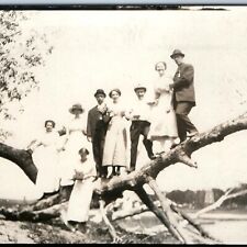 c1910s Outdoor Group People RPPC Women Men Classy Dead Tree Branch Photo A255 picture