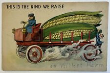 This is the Kind We Raise Comic Corn Postcard, Willert Farm Auburn, Iowa 1915 picture