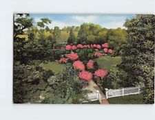 Postcard The Garden at The Hermitage Home of General Andrew Jackson Nashville TN picture