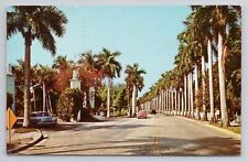 Postcard Stately Royal Palms Fort Myers Florida 1957 picture