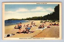 Westfield NY-New York, General Greetings, Bathing on Lake Erie, Vintage Postcard picture