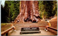 General Grant Tree - Grant Grove - Kings Canyon National Park, California picture