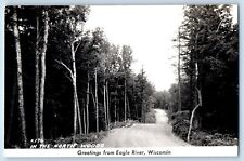 Eagle River Wisconsin WI Postcard RPPC Photo Greetings In The North Woods c1940s picture