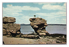 Postcard ME Pulpit Rock Stone Scenic Nature Water View Robbinston Maine  picture